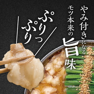 博多もつ鍋前田屋　もつ鍋セット　みそ味4～6人前 博多もつ鍋 みそ味 セット 4人前 〜 6人前 もつ鍋 やみ付き もつ 旨味 ぷりっぷり 食感 こだわり 和牛 ホルモン 特製 スープ にんにく ゆずこしょう とうがらし ちゃんぽん麺 簡単 調理 冷凍 ご当地 お取り寄せ お取り寄せグルメ 福岡県 上毛町 送料無料 _KLM0304