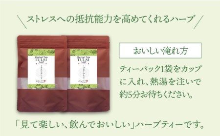 【全6回定期便】ハーブティー＜トゥルシーブレンド＞2袋【Goenヘルス＆ビューティー】[HBQ018]お茶 ホーリーバジル ほうじ茶