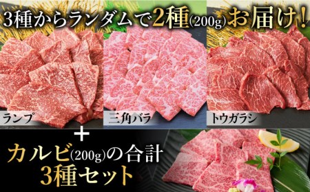 佐賀牛 希少部位含むおまかせ焼肉セット3種400g牛肉 希少 赤身 カルビ[FAY064]