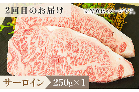 【全3回定期便】1ヶ月に1度の佐賀牛ひとり贅沢コース ステーキ/焼肉/スライス 牛肉 希少 赤身 カルビ ヒレ サーロイン モモ 切り落とし[FAY065]