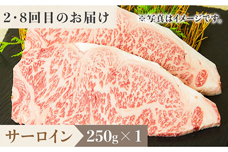 【全12回定期便】1ヶ月に1度の佐賀牛ひとり贅沢コース ステーキ/焼肉/スライス牛肉 希少 赤身 カルビ ヒレ サーロイン モモ 切り落とし[FAY067]
