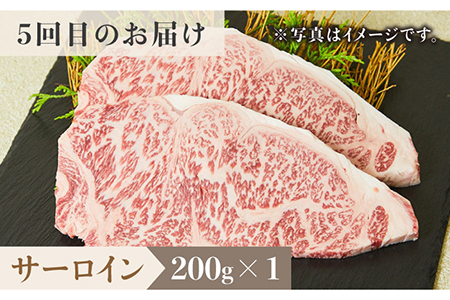 【全6回定期便】佐賀牛希少部位?ひとり贅沢ステーキコース? イチボ/ランプ/ミスジ/クリ/サーロイン/シャトーブリアン【ミートフーズ華松】 ブランド 高級 和牛 霜降り やわらか 冷凍 料理  精肉 牛肉 希少 赤身 イチボ ランプ ミスジ [FAY069]