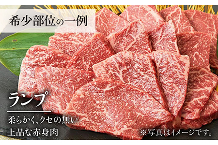 【全3回定期便】佐賀牛希少部位?ひとり贅沢焼肉コース? ランプ/クリ/トウガラシ/ザブトン/カイノミなど【ミートフーズ華松】 ブランド 高級 和牛 霜降り BBQ やわらか 冷凍 料理  精肉 牛肉 希少 赤身 イチボ ランプ ミスジ [FAY071]