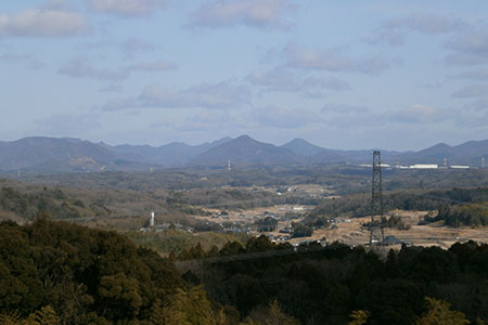 芳醇、吟香る山田錦入りビール「吟米麦酒」11本セット【北海道・沖縄・離島　配送不可】