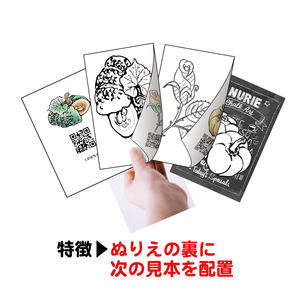 「色塗りパラダイス」ハガキサイズ色鉛筆で初めての方も安心【30枚】見本が見やすく塗り方説明動画のオマケ付き。たっぷりの絵柄にドンドン挑戦できるのが特徴。 ※着日指定不可