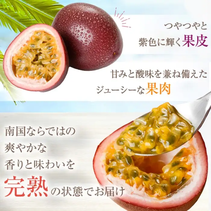 【A52003】＜先行予約受付中！2026年6月下旬より準備が整い次第順次発送＞《数量限定》前村さんちのパッションフルーツ(約2.2kg・12玉入り2箱)フルーツ 果物 果実 鹿児島 国産 ビタミン 産地直送 ギフト プレゼント【前村果樹園】