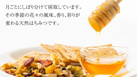 【桜川市限定】山桜はちみつと田舎はちみつの7種プチギフトセット[結蜜 Musubi-S7]  【茨城県共通返礼品／五霞町】[BS002sa]