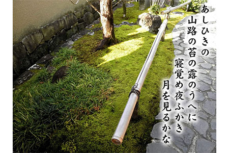スナゴケで庭園緑化１㎡