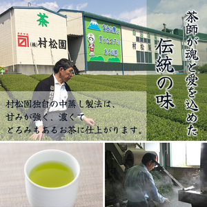 お茶 「大地の茶」500g (100g×5袋) お茶の葉 日本茶 緑茶 茶葉 セット 富士山麓 コク中蒸し製法 こだわり 美味しい 銘茶 煎茶 ギフト プレゼント 飲み物 富士のやぶ北茶 静岡茶 お茶葉 老舗 大正5年創業 村松園 富士市 [sf002-135]