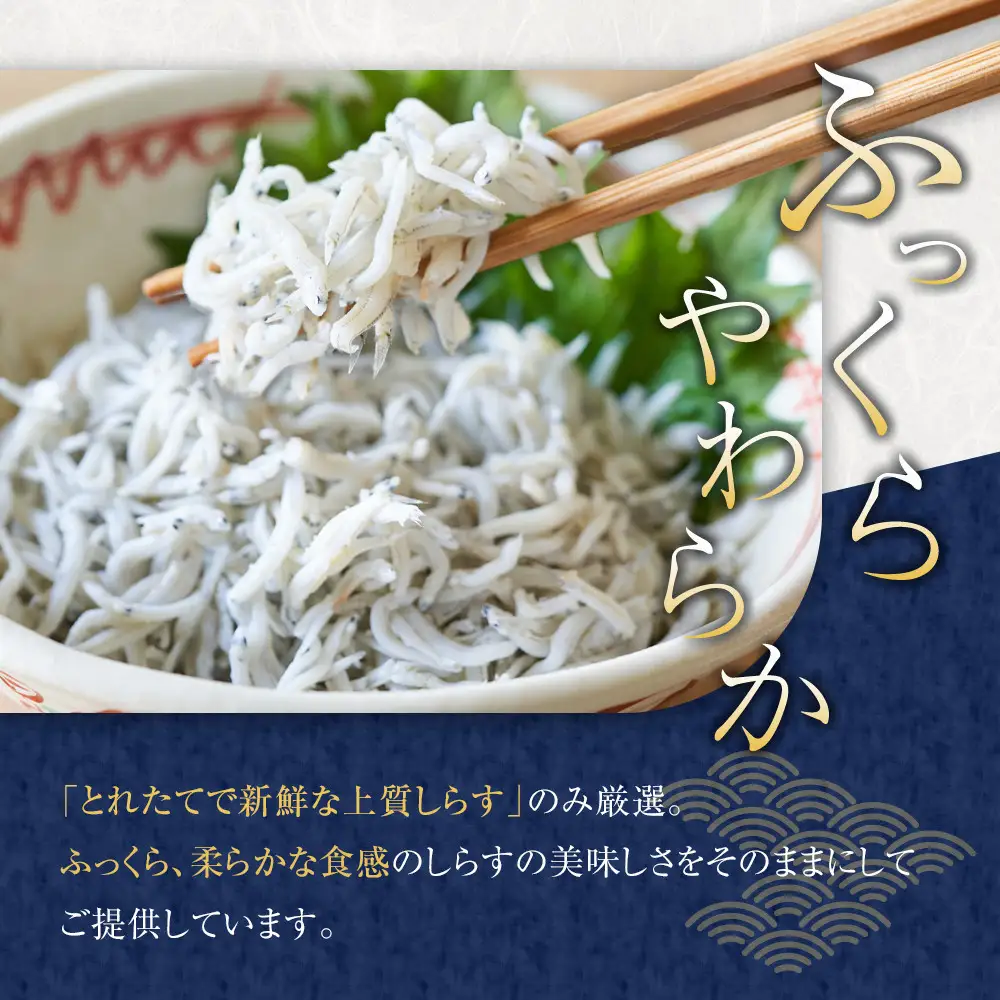 ＼注文数急上昇／釜揚げしらす　1.5kg　しらす　