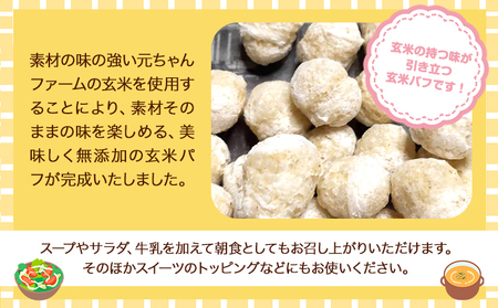 玄米パフ(10パック入り) 1パック35g 自然で優しい素朴なスナック菓子 元ちゃんファーム《90日以内に出荷予定(土日祝除く)》 和歌山県 紀の川市 玄米 パフ 送料無料