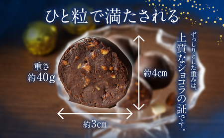 ラムショコラ　10個入り_B128-001