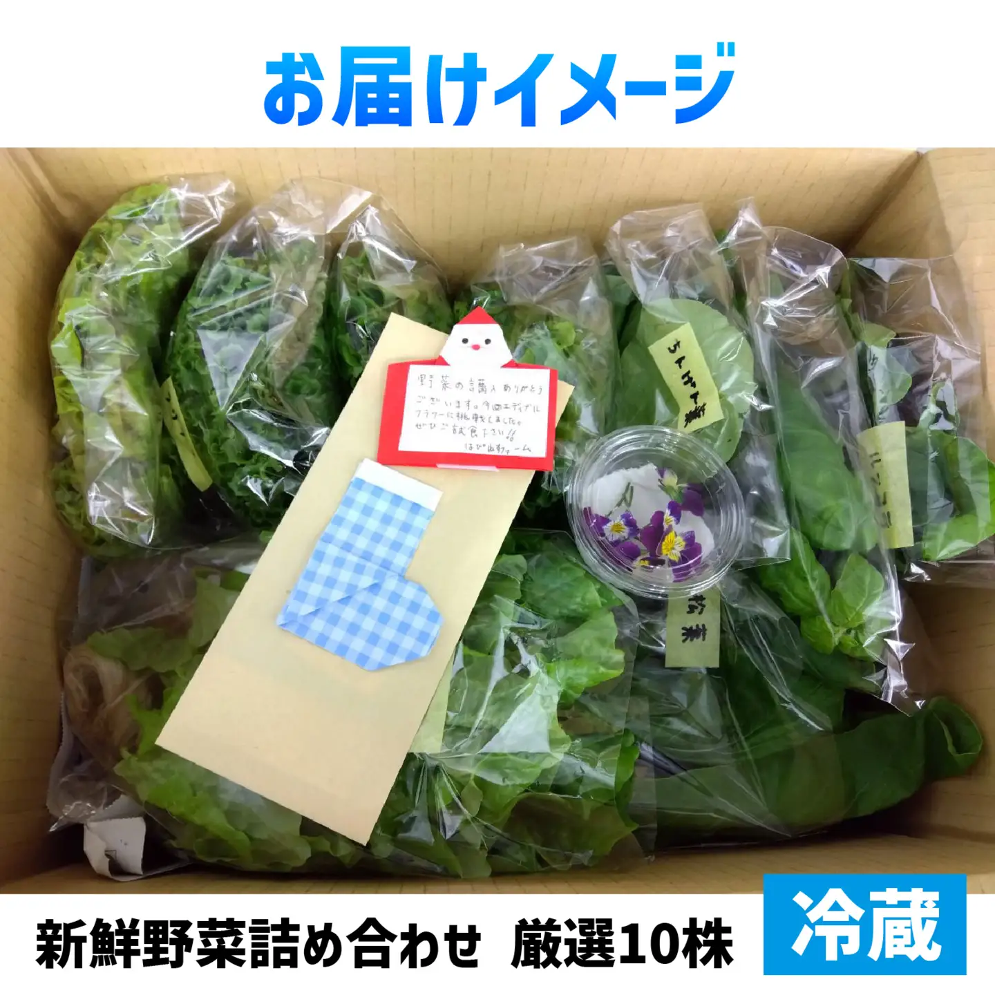 滋賀県大津から 直送 ！ 新鮮 野菜 詰め合わせ（栽培期間中農薬不使用）[BF001] / セット