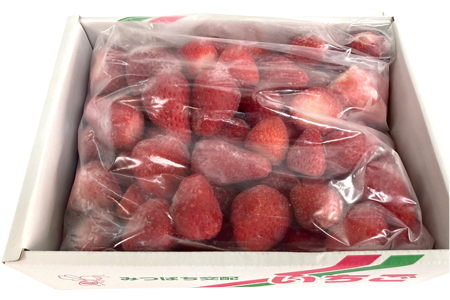 富津アクアファーム　冷凍完熟いちご 1.5kg