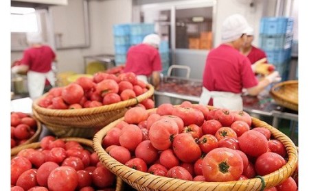 トマトジュース 6本セット 500ml×6本 完熟 トマト100% 大分県 竹田市