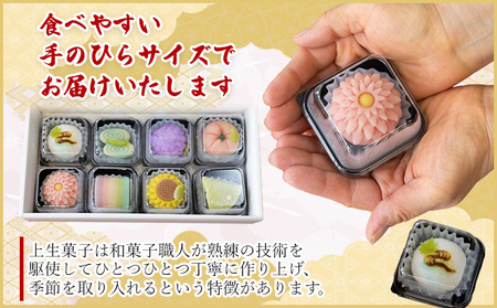 【定期便】和菓子 上生菓子 四季の定期便【上生菓子 上生菓子 上生菓子 上生菓子 上生菓子】 Wyd-0024