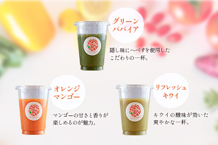 「定期便12か月コース」南国酵素スムージー　200ml×6本セット×12回　 野菜・果実ミックスジュース　青パパイア　果物　フルーツ　飲料　健康　栄養【F108】