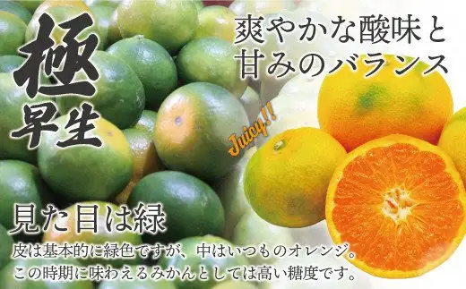 【2026年9月中旬より順次発送】JAむなかたブランドみかん（早味かん）約3kg[H2280]
