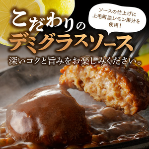 大容量！デミグラスソースハンバーグ 150ｇ×20個セット 【数量限定】 高評価 デミグラスソース ハンバーグ セット 150g 20個 個包装 便利 時短 湯煎 ボイル 電子レンジ 簡単 調理 おかず お弁当 おつまみ 冷凍 食べ物 加工品 お取り寄せグルメ 福岡県 上毛町 送料無料 _K04404