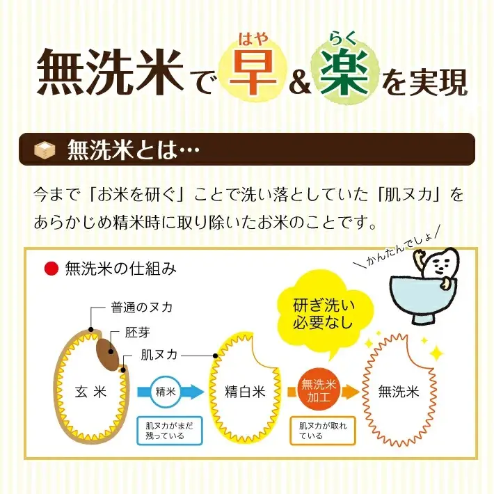 SG0141　【令和8年産 新米予約】≪5回定期便≫ ［無洗米］ひとめぼれ　5kg×5回(計25kg)　農家直送・鳥海山麓やわたの米 TR