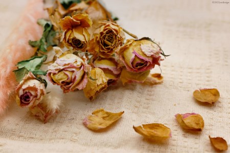 ドライフラワー ブーケ 1束 [池川生花店 北海道 砂川市 12260335] 