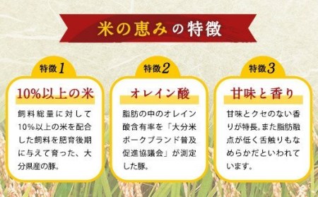 大分県産ブランド豚「米の恵み」こま切れ 6kg 切り落とし モモ 肩