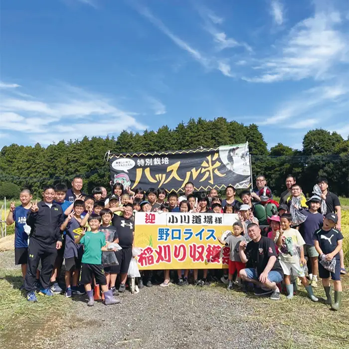 176【令和7年産】小川直也プロデュース ハッスル米 3.6kg(450ｇ×8本)【野口ライス】