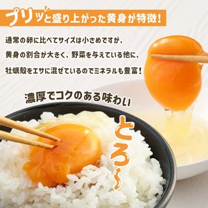 ましくんの完全放し飼い土佐ジローの卵（25個入り） 【R00443】