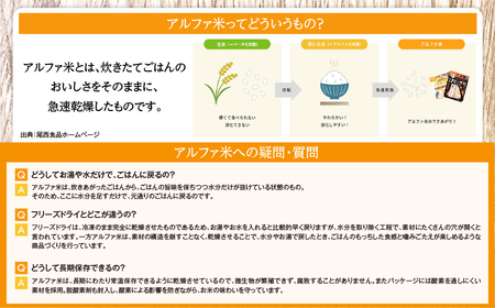 米 災害 備蓄ごはん おにぎり12個セット アルファ米 ごはん 大崎市 尾西食品