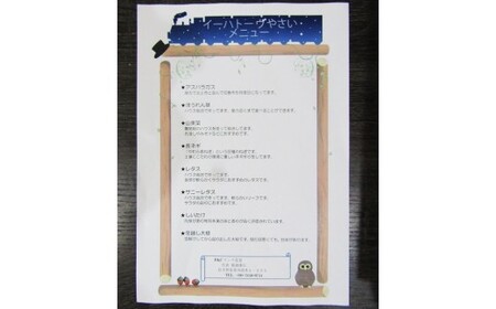  【定期便12ヶ月】イーハトーヴ野菜A お試しセット6品～【295】