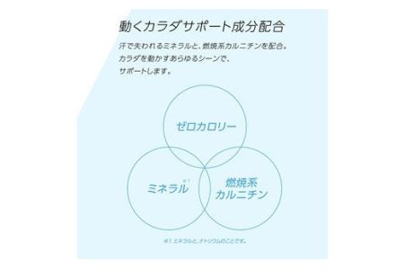 ゼロカロリーで熱中症対策におすすめ！アクエリアスゼロ2Lペットボトル×6本 【655】