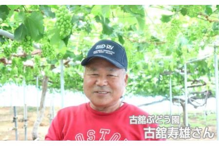 ＜予約受付＞完熟スチューベン100％ おおはさま ぶどうジュース 1L×2本セット 【708】