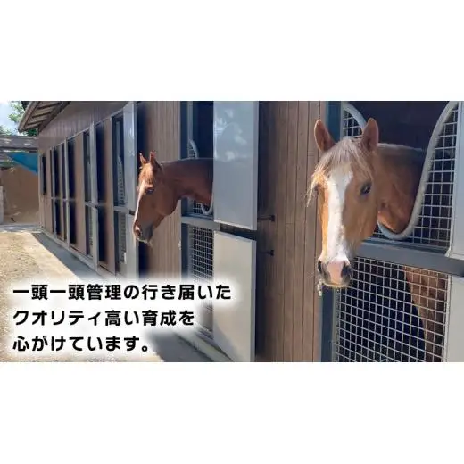 乗馬体験１回コース