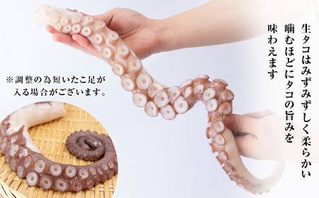 ☆天塩町産たこ足1kg