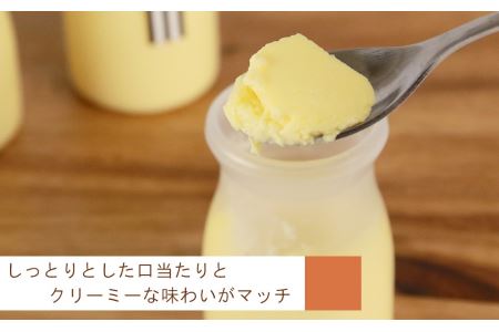 ライダーにも人気！老舗チーズプリン8個セット【とらや菓子司】