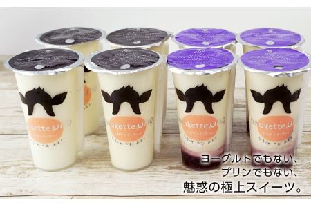 魅惑の極上スイーツ★トロケッテ・ウーノ＜プレーン＆ハスカップ８本セット＞