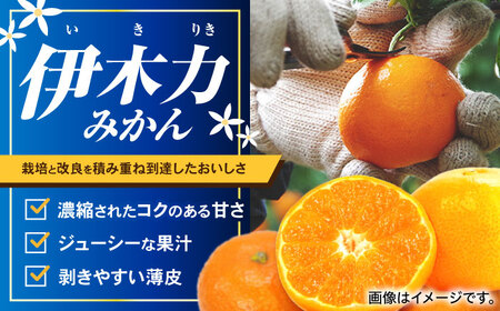 ※【2026年10月下旬より順次発送／先行予約】伊木力みかん(家庭用) 10kg / みかん ミカン 蜜柑 オレンジ フルーツ 果物 柑橘 / 諫早市 / 山野果樹園 [AHCF001]