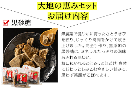 青葉の会 大地の恵みちょいといっぷくセット《30日以内に出荷予定(土日祝除く)》黒砂糖 秘伝だれ