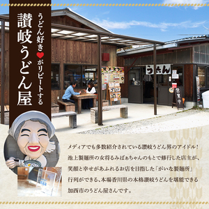 がいな製麺所 お食事券B おでかけ チケット うどん 讃岐うどん 行列 卵かけご飯 がいなばあちゃん 