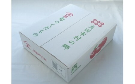 贈答用にも！JA信州うえだ「秋映」りんご 特秀5kg