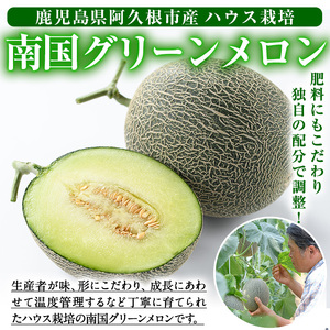＜先行予約受付中！2026年6月中旬以降順次発送予定＞数量限定！鹿児島県産南国グリーンメロン(LAサイズ×3個) メロン フルーツ 果物 鹿児島 国産 青肉 期間限定 LA【東新グリーンファーム合同会社】akn062-09