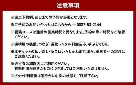 【日本三大鍾乳洞】龍河洞 冒険コース 《ペア入洞券》 チケット 体験 冒険 鍾乳洞 洞窟 地下 観光 歴史 自然