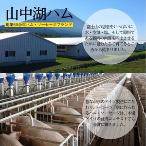 山中湖ハム厳選セット7種盛  合計920g／ ソーセージ ウィンナー ハム 富士ヶ嶺ポーク 詰合せ ドイツ コンテスト 金賞 ギフト 大量 大容量 山梨県【n0258_mar】