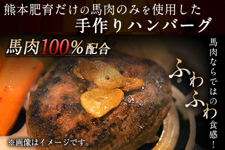 手作りハン馬ーグ 100g×10個 馬肉100%配合！【熊本肥育】ハンバーグ たっぷり 冷凍 お中元 肉 お手軽 お取り寄せ《30日以内に出荷予定(土日祝除く)》 美味しいハンバーグ ジューシーハンバーグ 冷凍ハンバーグ おかずハンバーグ