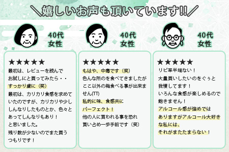 【椎葉夢織会】梅酒「姫伝説」の実 300g【美味しい梅酒うめ】無添加 梅酒うめ 梅 梅の実 無着色 HF-69