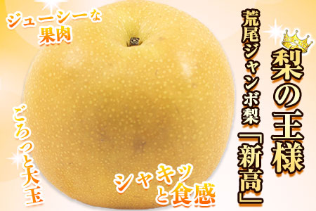  【2026年 先行予約】梨 新高 ジャンボ梨 ( 新高梨 )  約 3kg (3～6玉前後) なし 荒尾梨 にいたか フルーツ 果物 デザート 旬 熊本県荒尾市産 髙口果樹園《2026年10月上旬-11月末頃出荷》  美味しい梨 旬の梨 ジューシー梨 フルーツ梨
