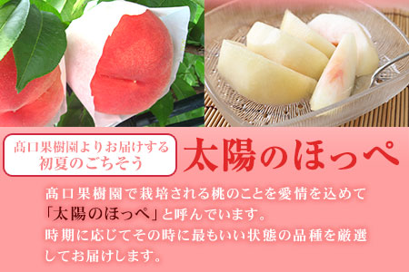【2026年 先行予約】 桃 季節のおすすめ 約1.8kg～2kg もも フルーツ 果物 白桃 あかつき なつおとめ まどか 瑞鳳 なつっこ 川中島白桃 熊本県荒尾市産 桃 髙口果樹園《2026年7月上旬-8月末頃出荷》