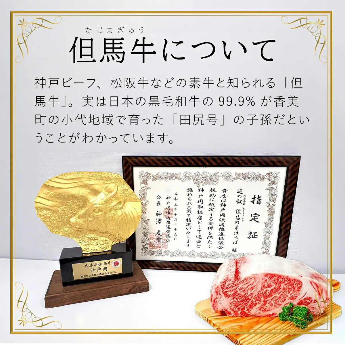 【但馬牛】特上切り落し300g×２パック(焼肉用) AS1CA15