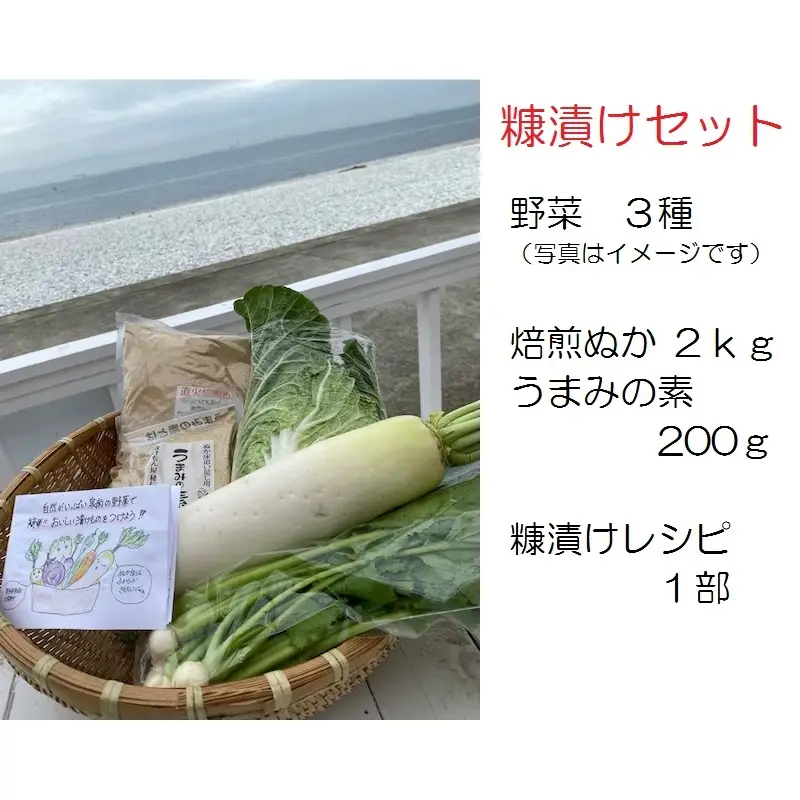 野菜がおいしく漬かる糠漬けセット【015E-010】