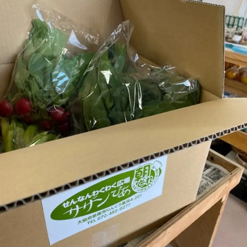 直売所の泉南産旬野菜セット詰め合わせ 100サイズ箱【015E-009】